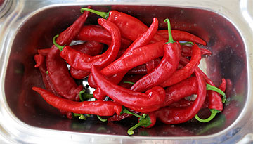 NuMex Las Cruces Cayenne
